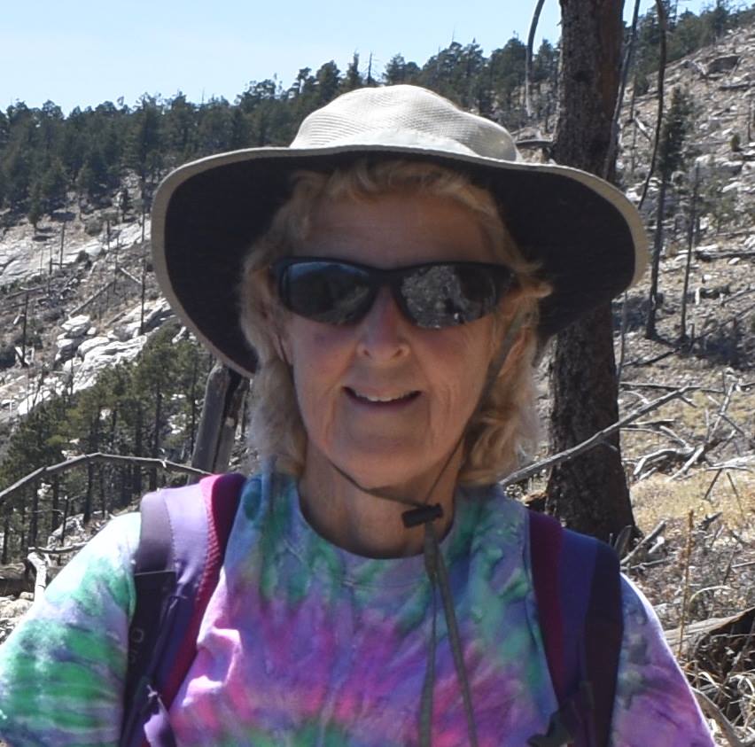 Author Interview: Donna&nbsp;Brown