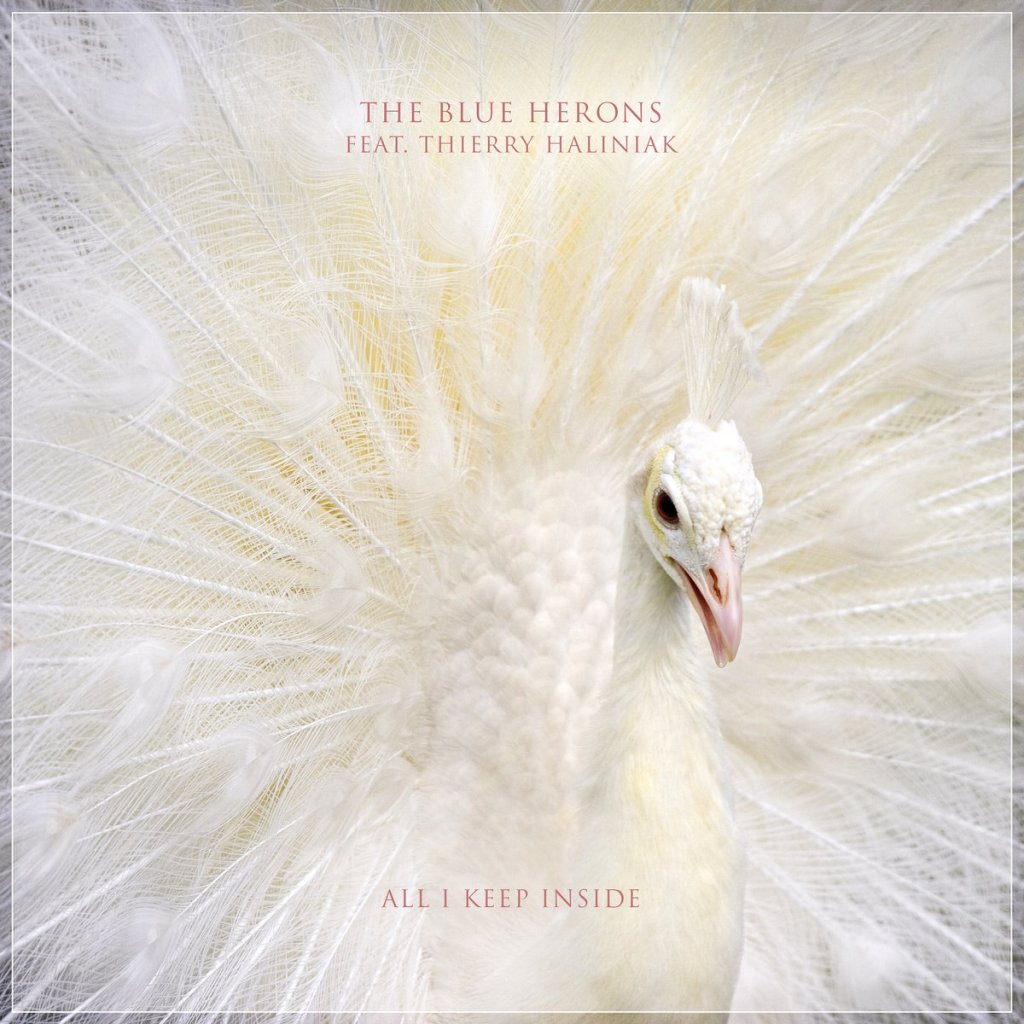 The Blue Herons single 'All I Keep Inside ft. Thierry Haliniak' Artwork
