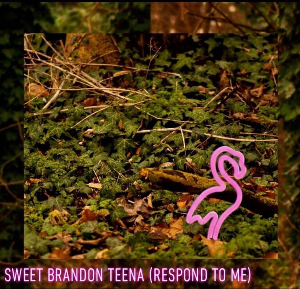 Reardon Love - Sweet Brandon Teena (Respond To Me) Artwork
