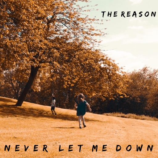 The Reason - Never Let Me Down Artwork