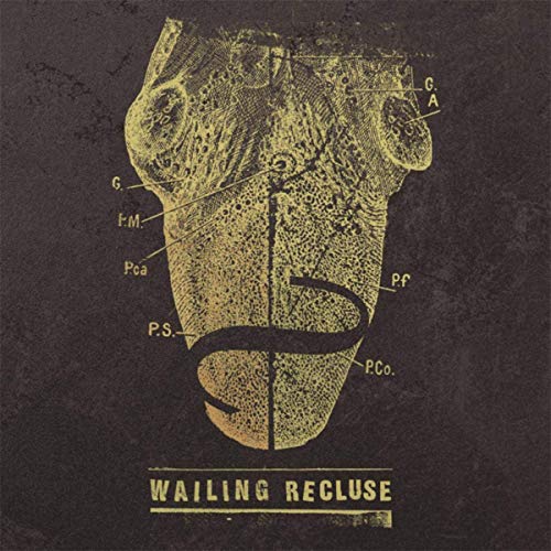 Wailing Recluse - Fallen Angel Artwork