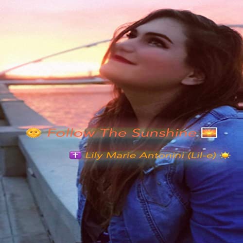 Lily Marie Antonini - Follow the Sunshine Artwork